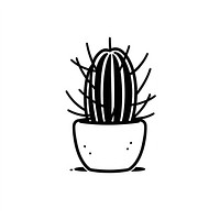 Rhipsalis cactus illustrated drawing sketch.