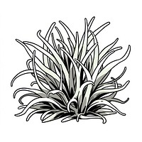 Rhipsalis cactus illustrated graphics pattern.