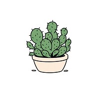 Rhipsalis cactus plant potted plant.