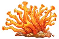Orange Tube Coral art invertebrate outdoors.
