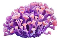 Anemone Coral art invertebrate outdoors.