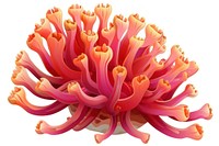 Anemone Coral invertebrate outdoors dessert.