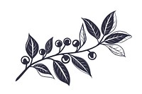 Coffee branch icon plant illustrated blueberry.