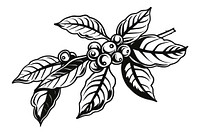 Coffee branch icon plant illustrated graphics.
