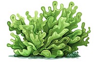 Common Lettuce Coral art outdoors dynamite.