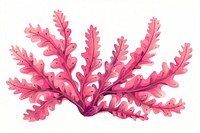 Chandelier vegetable produce seaweed.