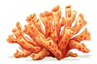 Hump Coral invertebrate animal sponge animal.