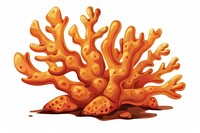 Hump Coral invertebrate outdoors animal.