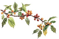 Hand drawn coffee tree branches and beans beverage produce blossom.