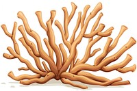 Staghorn Coral wood smoke pipe.