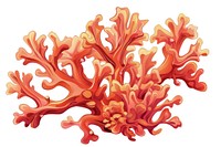 Spinous Softcoral art outdoors dynamite.