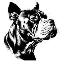 Pitbull tattoo flat illustration illustrated stencil bulldog.
