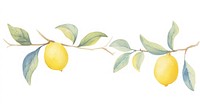 Lemons as divider watercolor produce fruit plant.