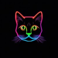 Line neon of cat icon lighting wildlife panther.