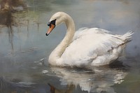 Swan swan animal person.
