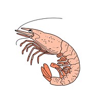 Prawn invertebrate seafood lobster.