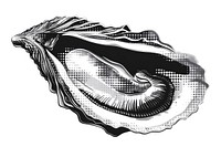 Oyster art invertebrate illustrated.