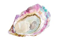 Oyster accessories accessory gemstone.