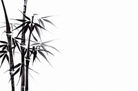 Japanese calligraphy bamboo plant.