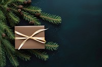Christmas gift branch plant fir. AI generated Image by rawpixel.