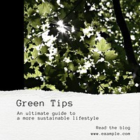 Green tips Instagram post template, editable text