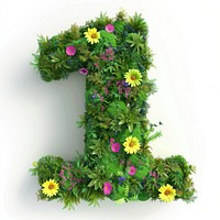 1 Number flower number green.