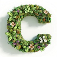 C letter wreath plant.