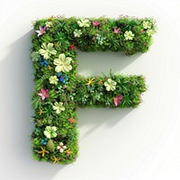 F letter flower green graphics.