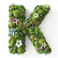 K letter flower green moss.