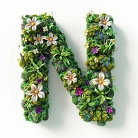N letter flower accessories accessory.