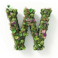 W letter flower moss accessories.