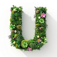 U letter flower accessories accessory.