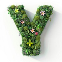 Y letter flower green moss.