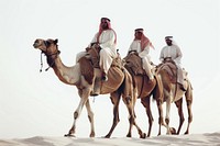 Middle east male Traveler riding camel parade accessories accessory clothing.