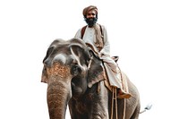 Middle east male Traveler riding elephant photo photography wildlife.
