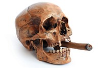 A skull with a cigar person human head.