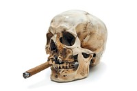 A skull with a cigar ammunition weaponry grenade.