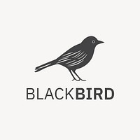 Black bird business logo  template design