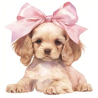 Coquette puppy spaniel animal canine.