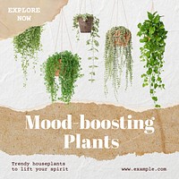Mood-boosting plants Instagram post template
