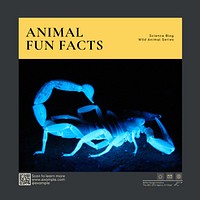 Animal fun facts Facebook post template