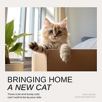 Adopt cat Instagram post template