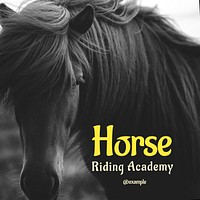 Horse riding Instagram post template design
