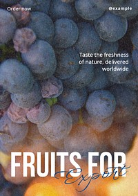 Fruit export poster template