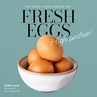 Fresh eggs Instagram post template design