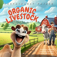 Organic livestock Instagram post template