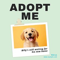 Adopt don't shop Instagram post template