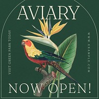 Aviary Instagram post template