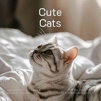 Cute cats quote Facebook post template