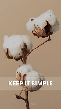Keep it simple Instagram story template